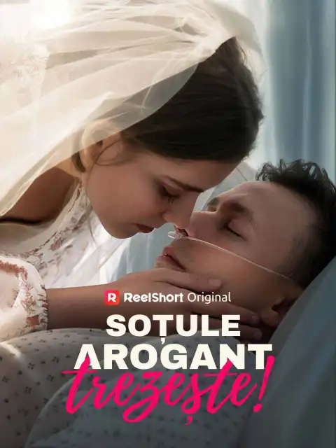 Soțule arogant, trezește!